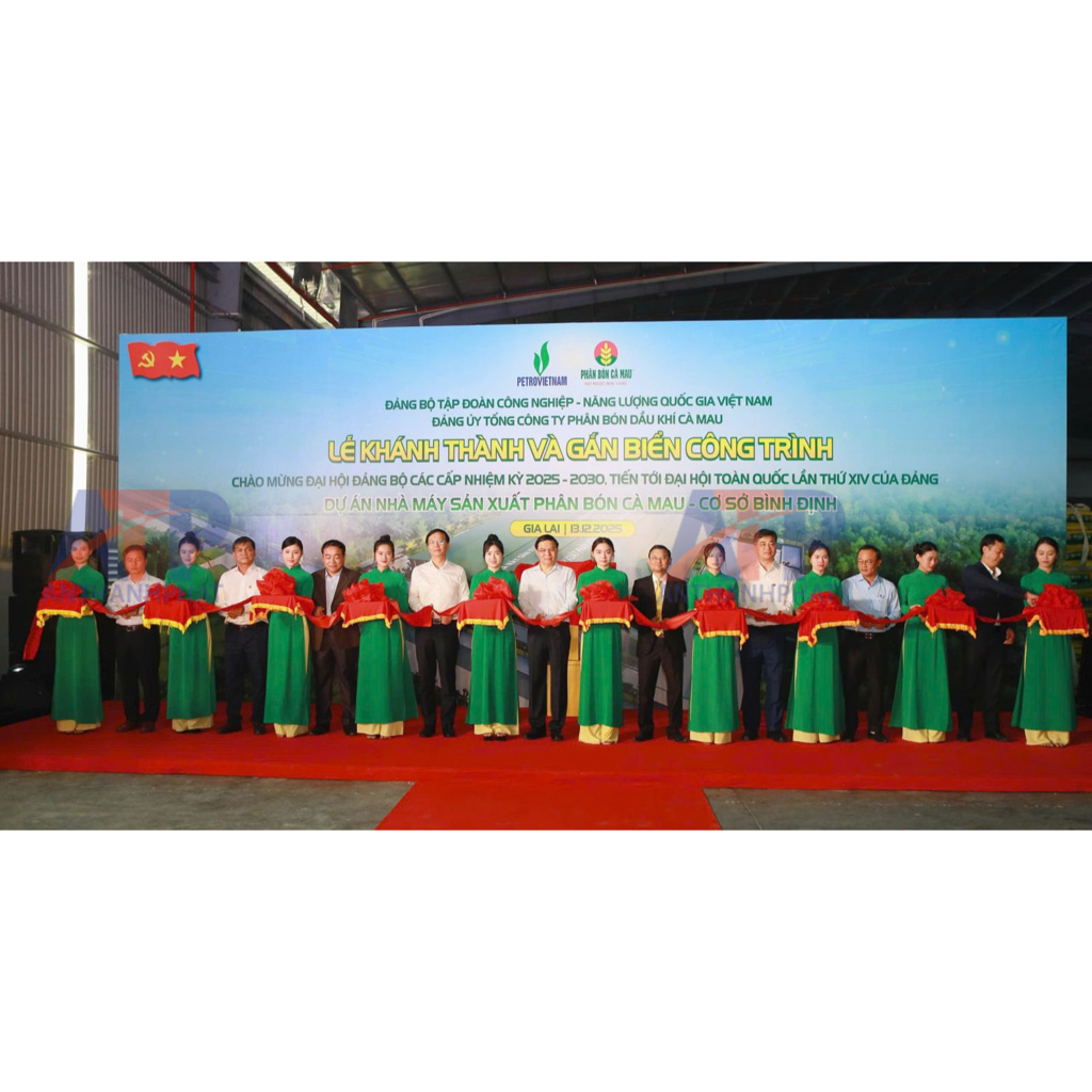 Bài viết giới thiệu dây chuyền trộn phân bón NPK Bình Định