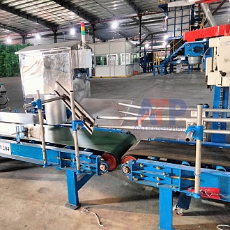che-tao-bang-tai-lat-bao-co-hoc-bag-flipper-conveyor
